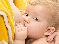 Правильное отлучение ребенка от груди