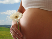 Изменения в организме беременной женщины