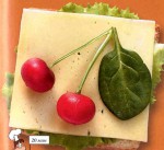 buterbrod3