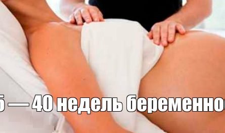 беременность на 40 неделе