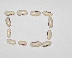 квадрат из фасоли