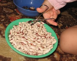 пинцет и фасоль