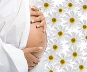 беременность