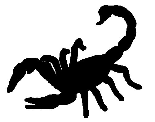 скорпион