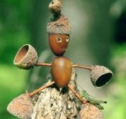 человечик из желудей