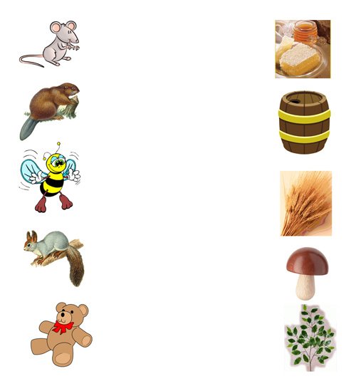 находим еду для живтоного кто что ест