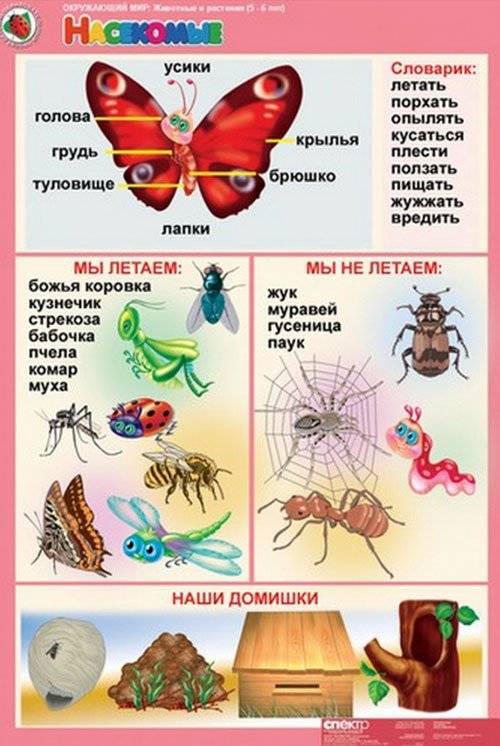 карточки для обучения