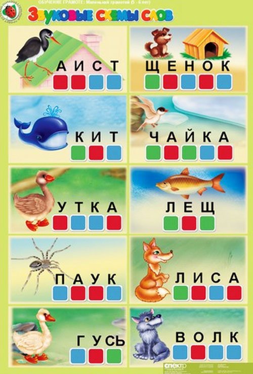 звуковые схемы слов