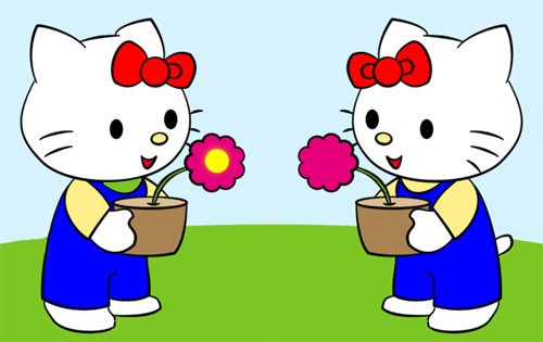 котики 5 отличий
