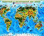 географическая карта для ребенка