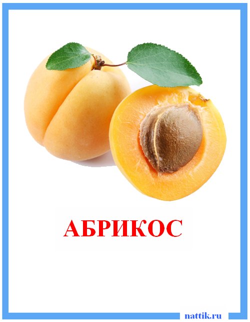 абрикос