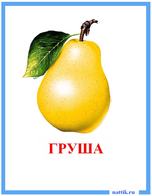 груша