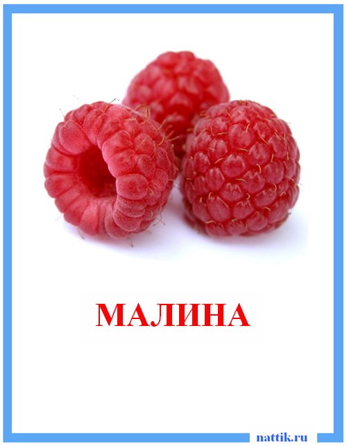 малина