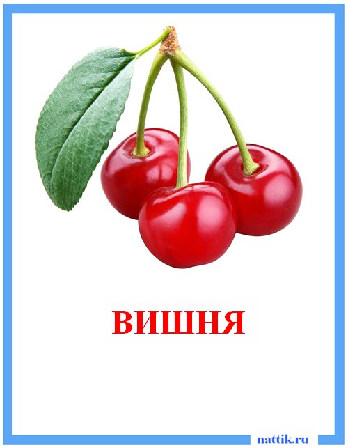 вишня