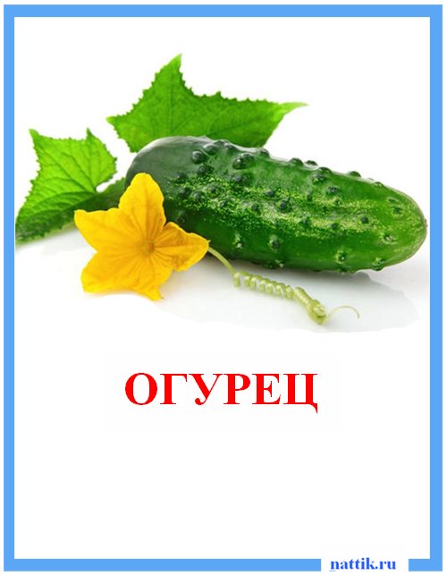 огурец карточка