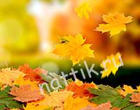 Осенние игры для детей с листьями