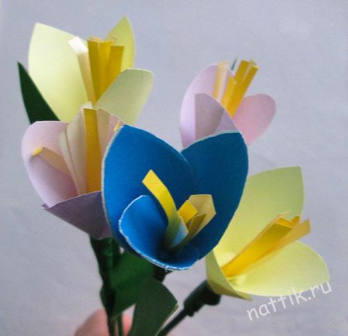 крокусы мастер класс