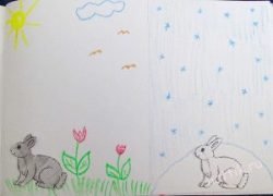 зимний и летний заяц