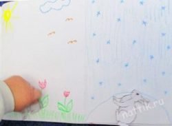 заяц зимой и летом