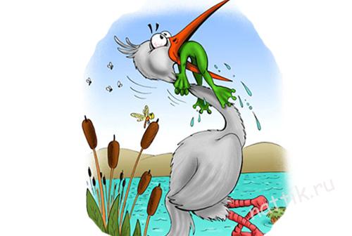 лягушка душит цаплю