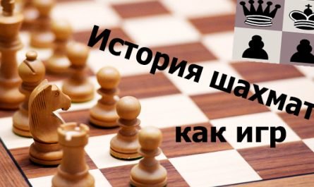 шахматы