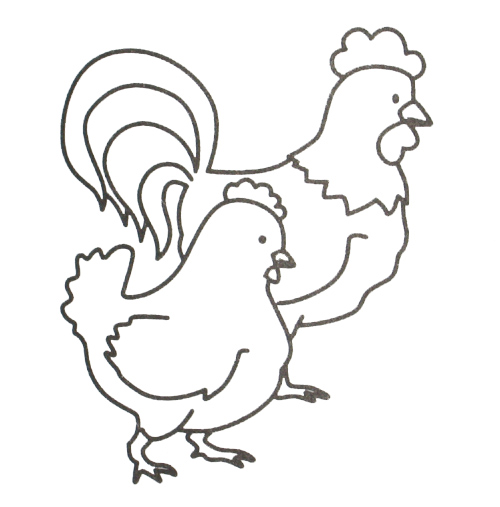 Раскраска петух и курица