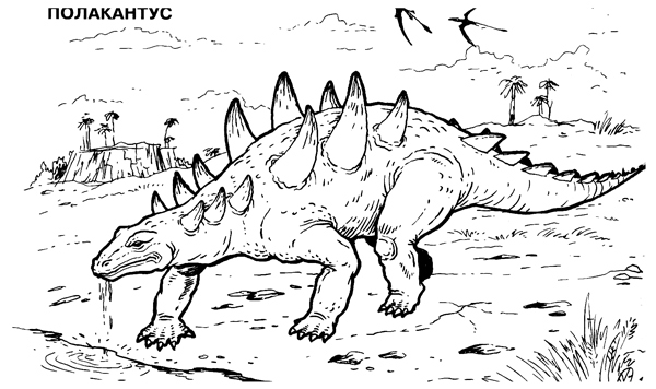 Динозавр полакантус