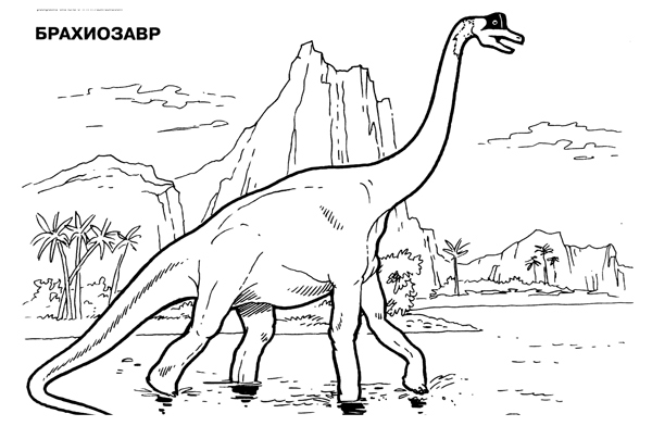 брахиозавр раскраска
