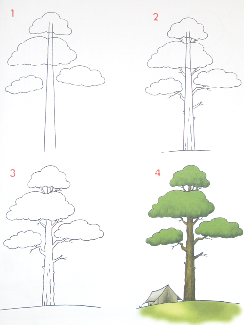 дерево по этапам рисунок