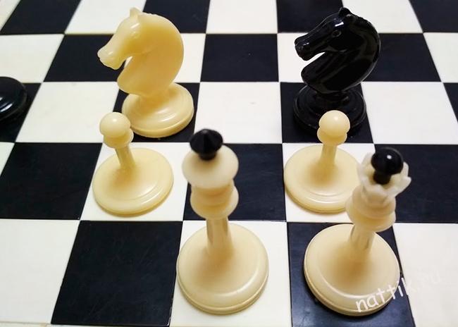 мат конем шахматы