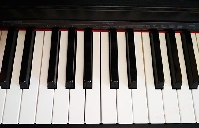 клавиши фортепиано